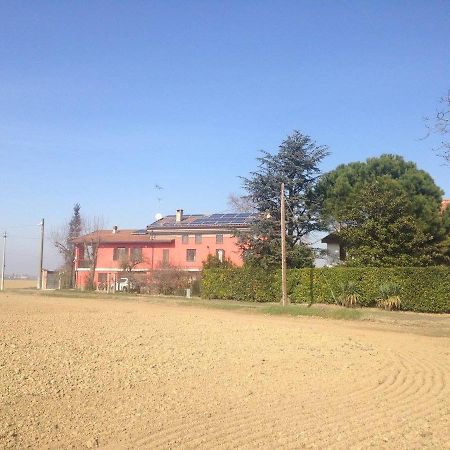 Agriturismo E Az. Agricola Ma.Mi Sale Exterior foto